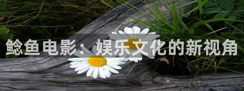 y樱花视频