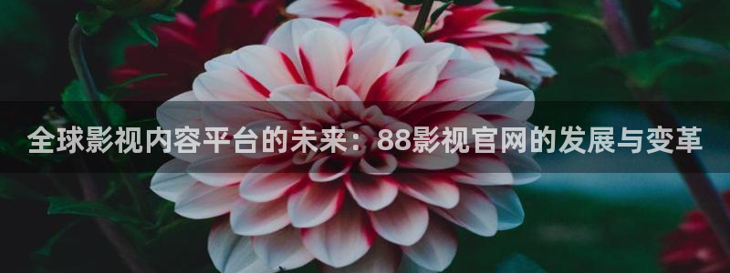 樱花视频:在线