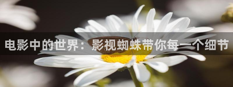 樱花视频伦理