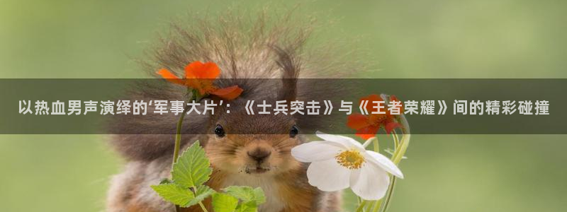 樱花视频mp4