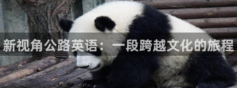 樱花视频在线观看全集免费高清版