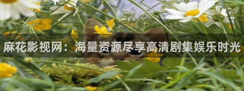 樱花影院免费看全集