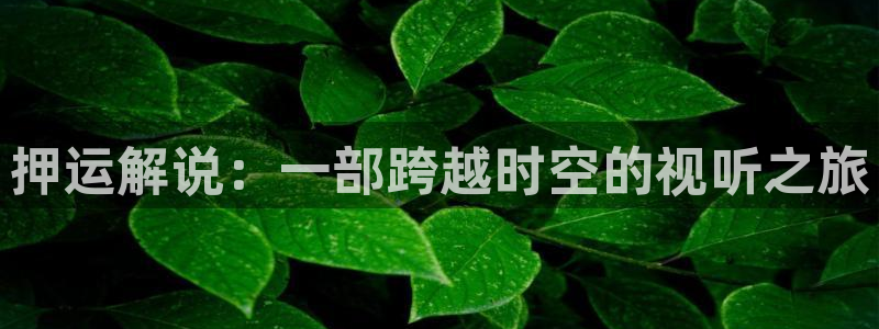 樱花视频n