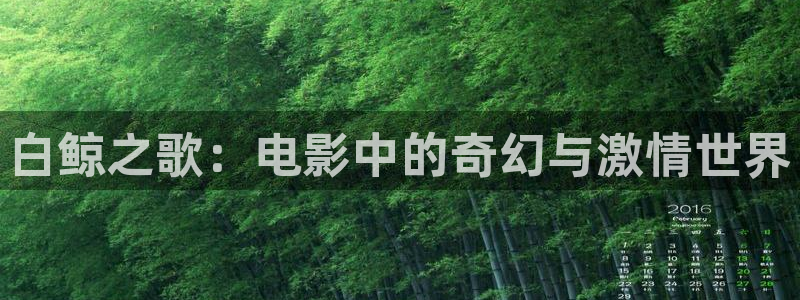 樱花视频h