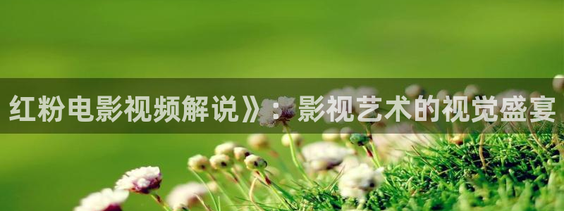樱花视频免费动漫