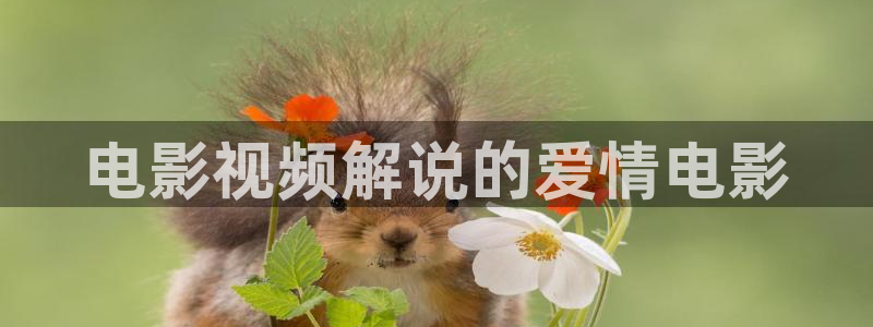 天官赐福樱花视频免费观看