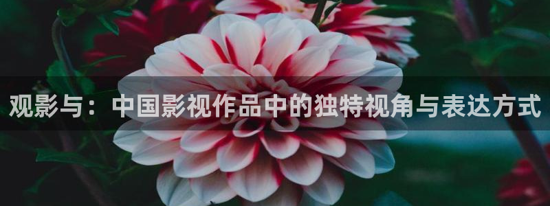 樱花视频在线观看高清免费资源在线观看