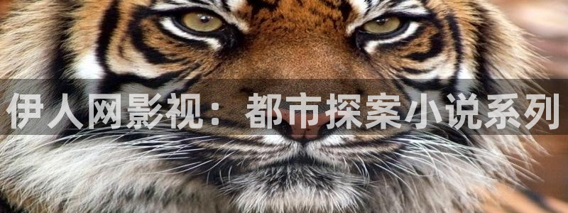 樱花视频免费试看