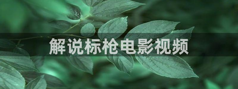 看樱花视频