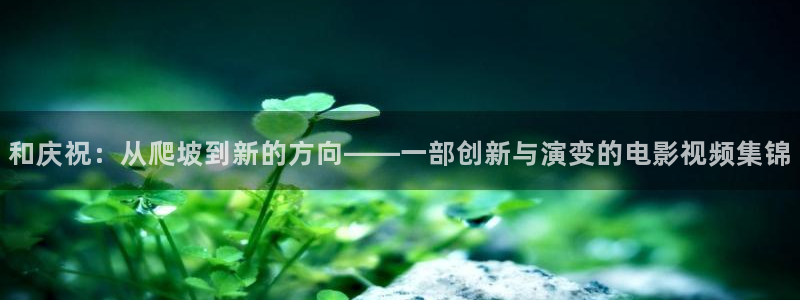 欧美樱花视频：和庆祝：从爬坡到新的方向——一部创新与演变的电影视频集锦