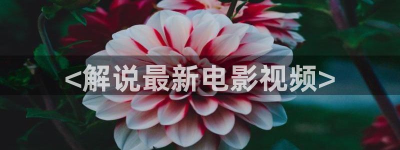 樱花影院在线观看免费播放电视剧：<解说最新电影视频>