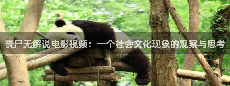 嗯～啊～轻一点樱花视频：丧尸无解说电影视频：一个社会文化现象的观察与思考