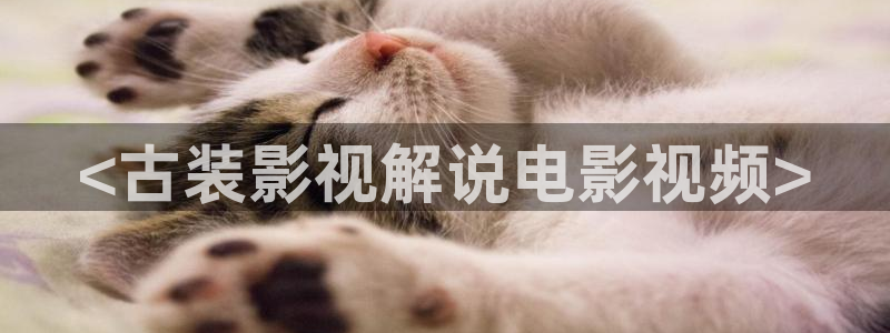樱花影院电视剧免费看：<古装影视解说电影视频>