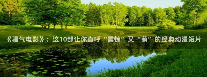 樱花视频高清版