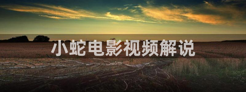 樱花影视手术直播间：小蛇电影视频解说