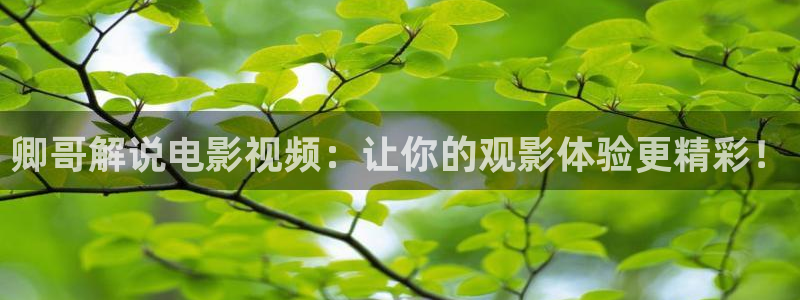 樱花影视最新版：卿哥解说电影视频：让你的观影体验更精彩！