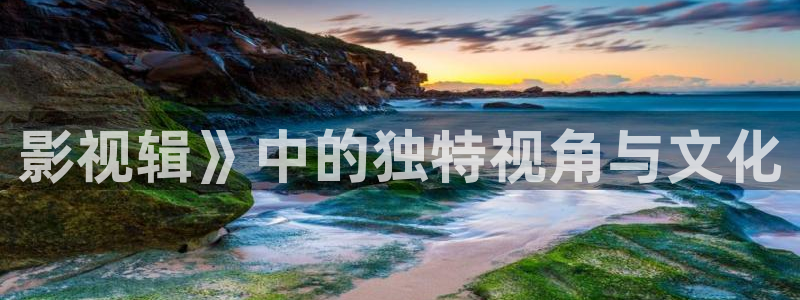 樱花视频免费版高清在线观看：影视辑》中的独特视角与文化