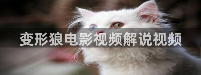 舞蹈樱花视频教程：变形狼电影视频解说视频