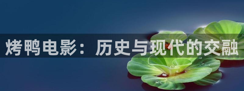 樱花视频高清免费：烤鸭电影：历史与现代的交融