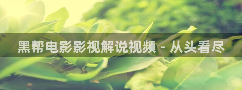 东京樱花视频：黑帮电影影视解说视频 - 从头看尽
