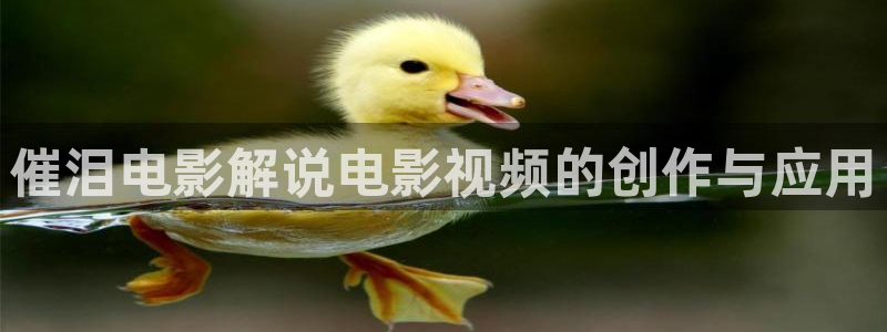 麻豆樱花视频：催泪电影解说电影视频的创作与应用