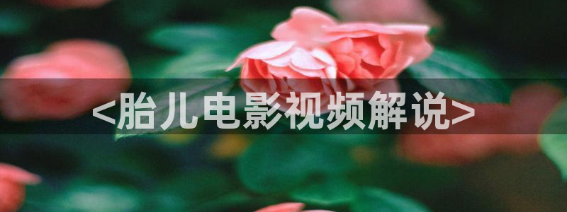 樱花视频网站网址：<胎儿电影视频解说>