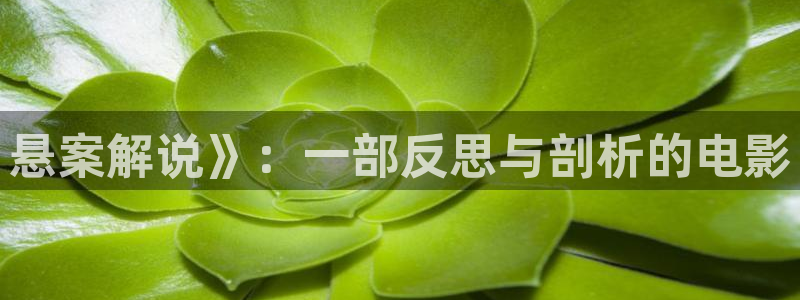 樱花视频高清电影好看的电视剧：悬案解说》：一部反思与剖析的电影