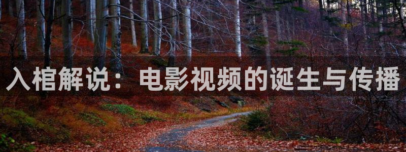 网站樱花视频：入棺解说：电影视频的诞生与传播