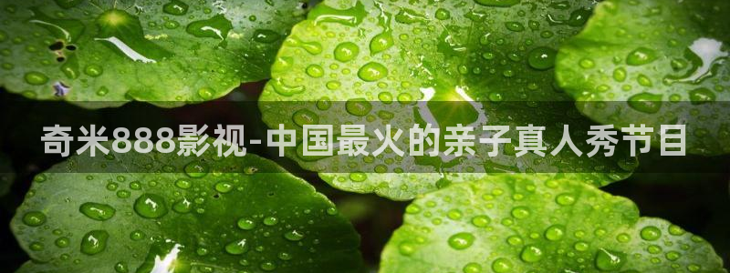 午夜樱花视频在线观看：奇米888影视-中国最火的亲子真人秀节目