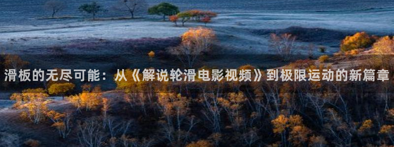 樱花视频电视剧推荐：滑板的无尽可能：从《解说轮滑电影视频》到极限运动的新篇章