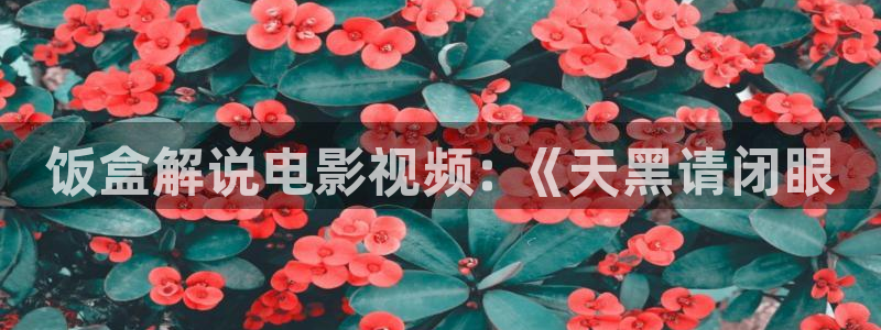神马樱花影院：饭盒解说电影视频: 《天黑请闭眼