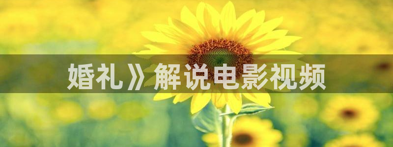 樱花视频网页版：婚礼》解说电影视频