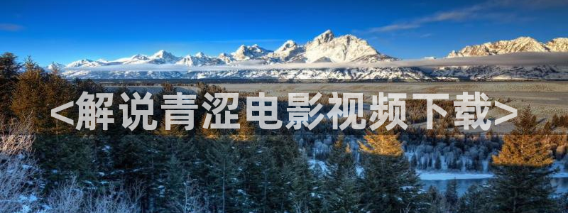 樱花视频高清完整版：<解说青涩电影视频下载>
