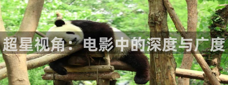 樱花影视热播剧有哪些：超星视角：电影中的深度与广度