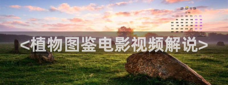 樱花视频号：<植物图鉴电影视频解说>