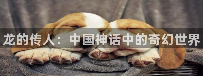 樱花视频下樱花视频下载