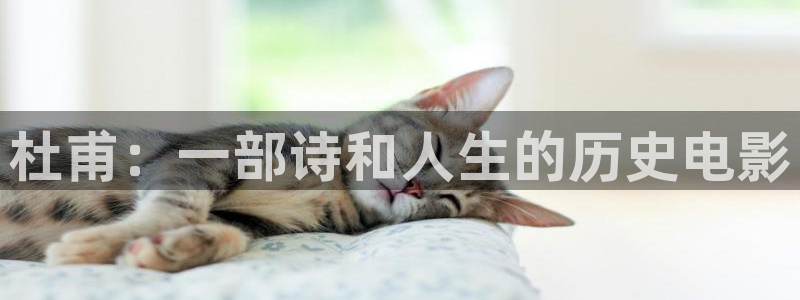 樱花影视剧在线观看