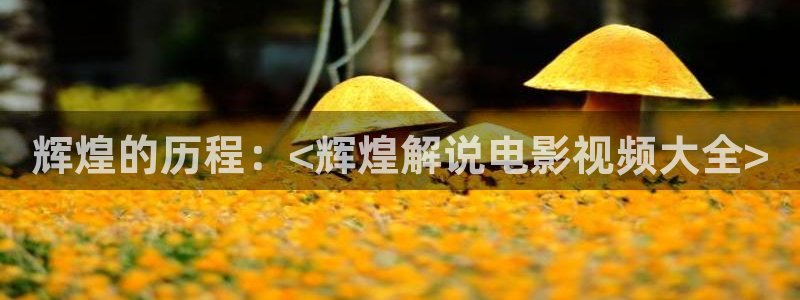 樱花视频大全简单又好看