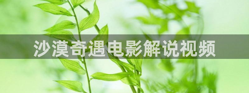樱花影院经典电视剧免费观看