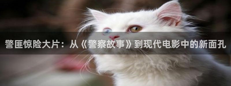 樱花影视一区