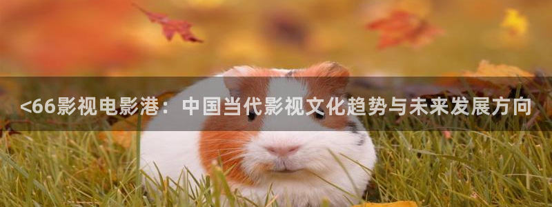 樱花视频免费高清电视剧