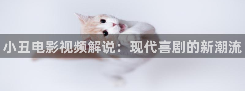 樱花视频在线一区