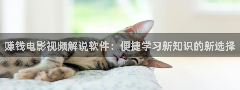 下载樱花视频