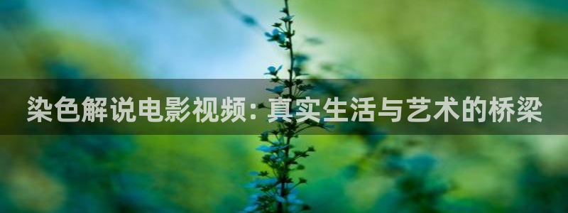 樱花视频app官网