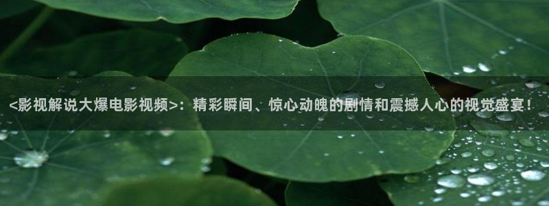视频樱花视频