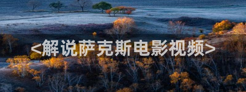 樱花影院在线免费看电视剧