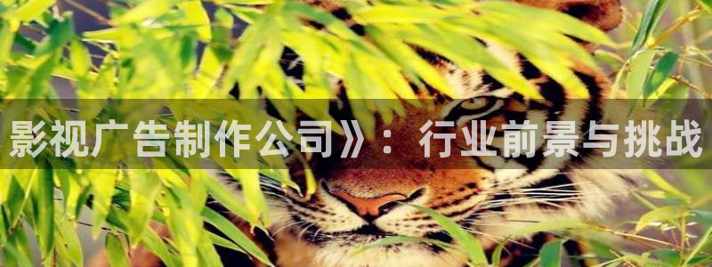 樱花视频污污