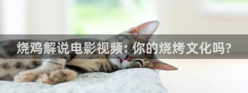 视频樱花视频