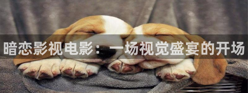 动漫樱花视频在线观看