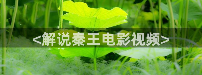 缘之空樱花视频